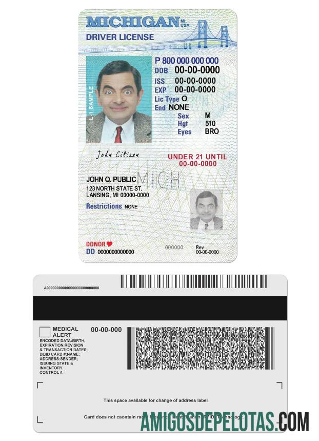 Carta de condução dos EUA Michigan com menos de 21 anos exemplo